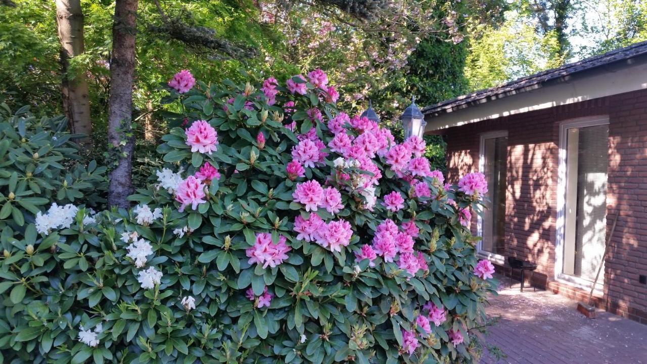 Ferienwohnung Morgensonne Westerstede Bagian luar foto