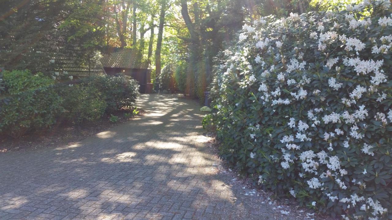 Ferienwohnung Morgensonne Westerstede Bagian luar foto