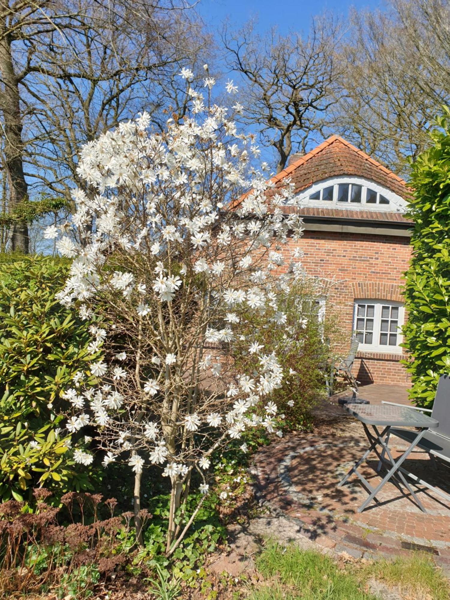 Ferienwohnung Morgensonne Westerstede Bagian luar foto