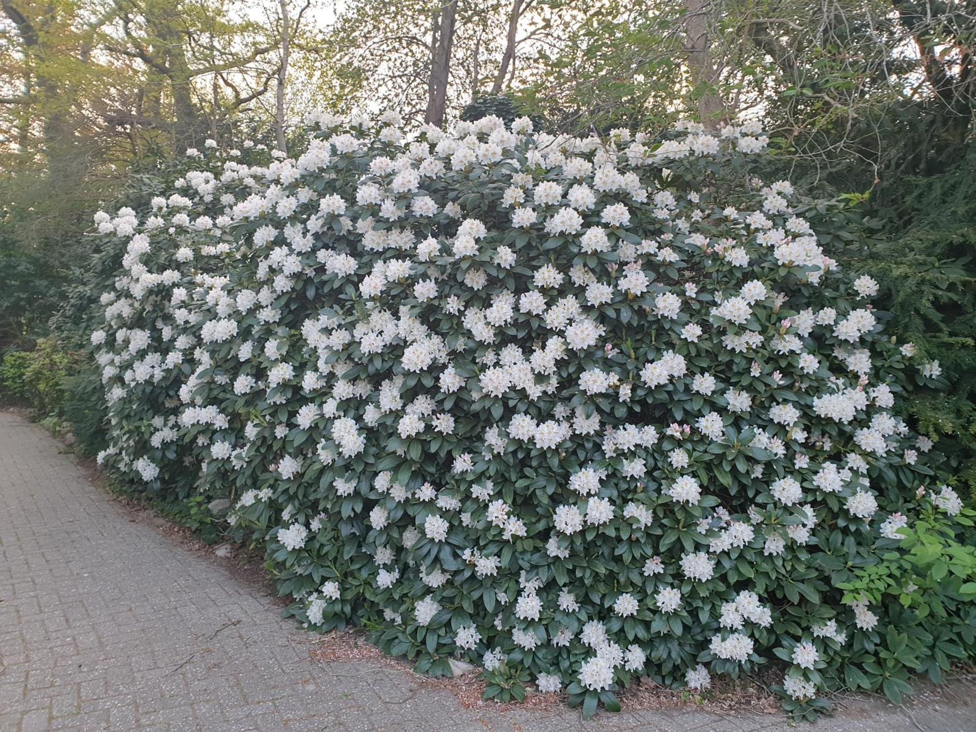 Ferienwohnung Morgensonne Westerstede Bagian luar foto